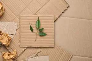 Pieces of cardboard with a leaf on it