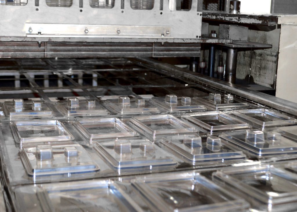 Plastic molds coming out of the thermoforming machine